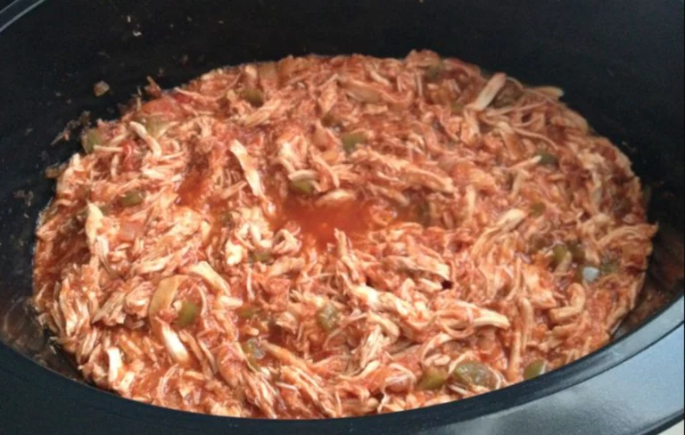 crock pot and salsa chicken
